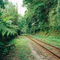 天冷咳嗽，中医怎么治？