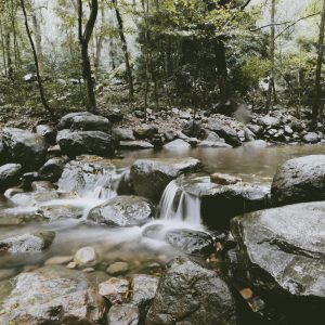 立秋养生，祛暑养肺之“起居养生”