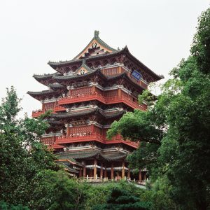 中药“三伏贴”疗法